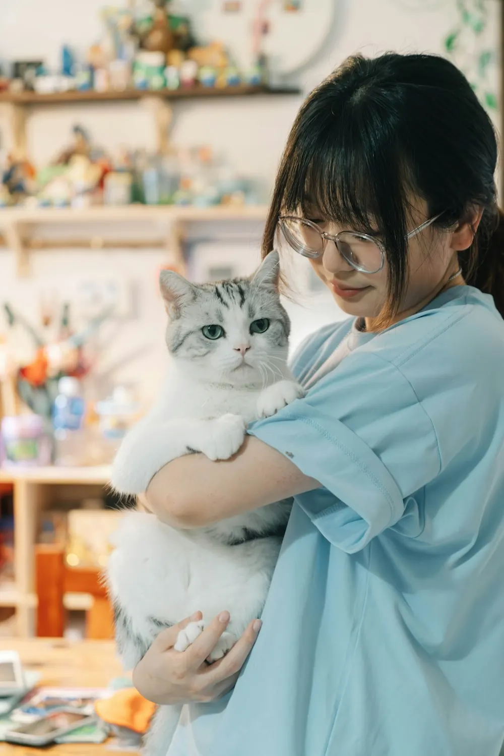 Eine Tierärztin hält eine graue Katze im Arm