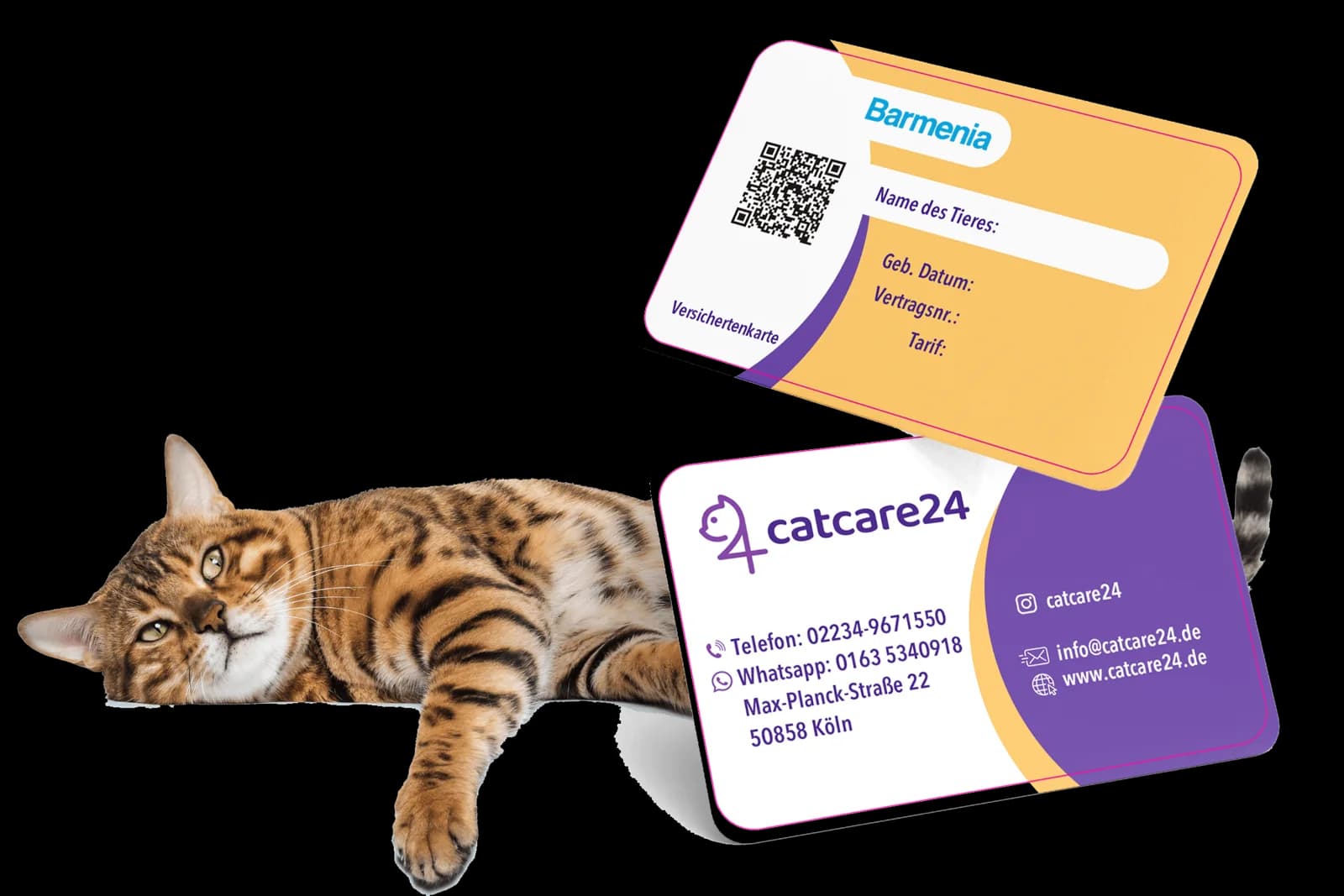 Die Catcare24-Versichertenkarte der Barmenia neben einer liegenden Bengalkatze